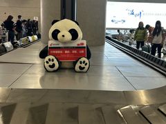 -温州龙湾国际机场