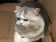 -顺德了能馆(虎门店)