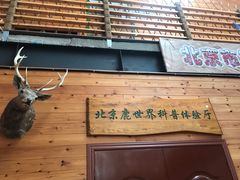 -北京鹿世界主题园