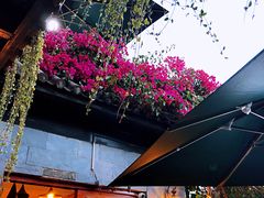 -随善园餐厅(大理店)