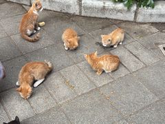 -晓港公园