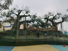 -秦皇岛乐岛海洋王国