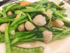 菜心炒鱼丸-顺德一品粥·20年凤城老字号(芳村店)
