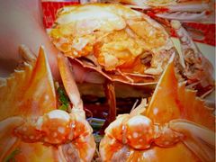 -小厨师·二十年沈家门小海鲜(百井坊巷店)