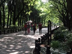 -共青国家森林公园-售票处