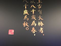 -CGV影城(新都心IMAX店)