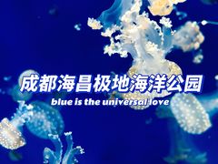-海合安成都极地海洋公园
