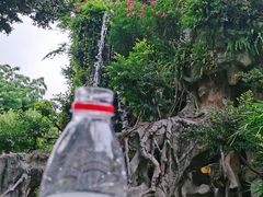 -伦教678文化街