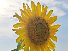 -徐记海鲜(曲江南湖店)