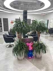 -ON STAR SALON