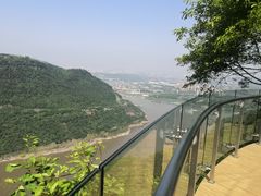 -铁山坪森林公园