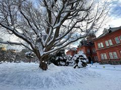 -北海道厅旧本厅舍(旧本庁舎)
