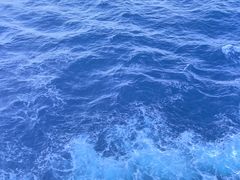 -海港城