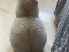 -锐动健身(博地中心店)