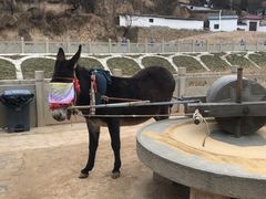 -梁家河村红色旅游区