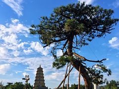 -大雁塔文化休闲景区-北广场