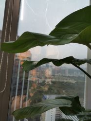 -丽美妍医疗美容·皮秒·立体分层抗衰
