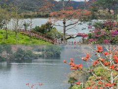 -海南霸王岭国家森林公园