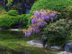 -上海吴淞炮台湾国家湿地公园