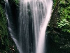 -牛背梁国家森林公园