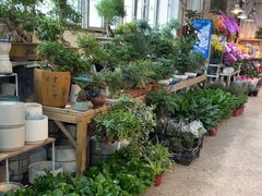 -双季花艺园艺市场(浦东店)
