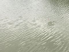 -福建鲤鱼洲酒店