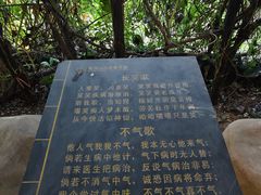 -观澜山水田园