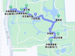 -上海共青森林公园