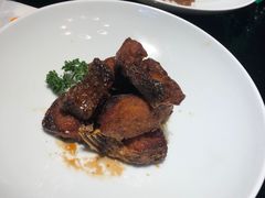 -碧丽宫大酒店(召稼楼店)