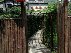 android_upload_pic-南窖乡水峪村山情农家