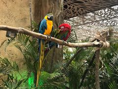 -杭州开元森泊度假乐园