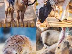 -茅山东方盐湖城景区