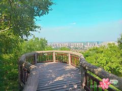 -南京市江宁方山