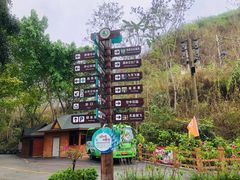 -西双版纳原始森林公园