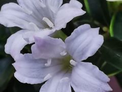 -东湖食堂·湖景餐厅•会议