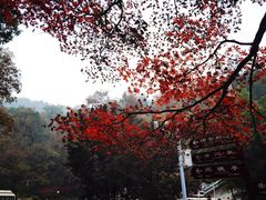 -岳麓山风景名胜区