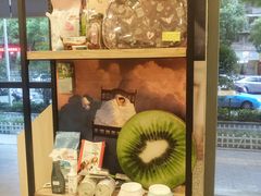 -神采飞扬宠物美容(香港路店)