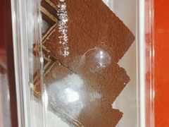-東更道点心行(大悦城店)