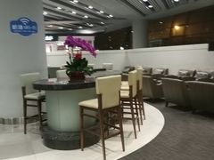 -首都机场t3-c国航两舱休息室