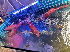 -77号渔船·蒸海鲜青岛菜(积米崖店)