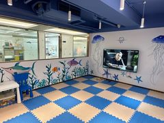 -Dr.Z dental仁康种植矫正中心