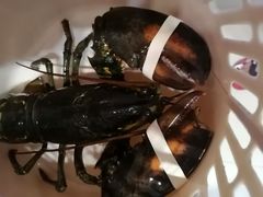 -Sasa的海(蜈支洲岛后海店)