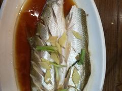 -老马家·舌尖上的西塘美食