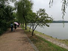 -羊山湖公园