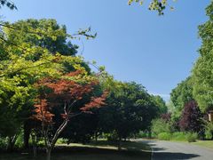 -梁鸿国家湿地公园
