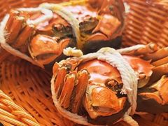 -蟹村草堂·苏式园林人文农家·大闸蟹