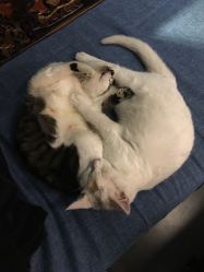 -汉刺青TATTOO STUDIO