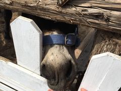 -白鹿原影视城