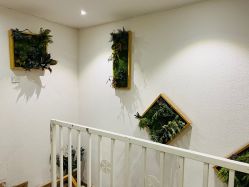 点击看大图 -薇薇安花系SPA