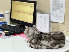 -北京观赏动物医院·24小时大型综合·猫专科·异宠专科